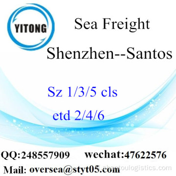 Shenzhen Port LCL Consolidatie naar Santos